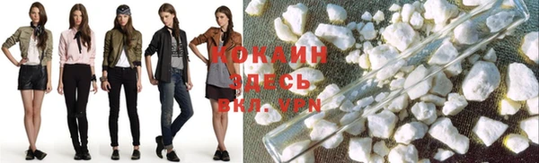 spice Абаза